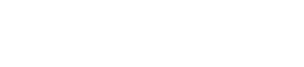 UEG 联合政府